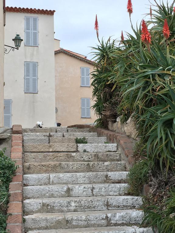 Cap Antibes Les Bosquets Villa Exteriör bild